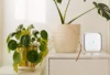 A Breath of Fresh Air: How to Test the Air Quality in Your Home