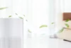 Do air purifiers help with dust? Unveiling the Efficacy of Air Purifiers and Key Considerations for Your Home